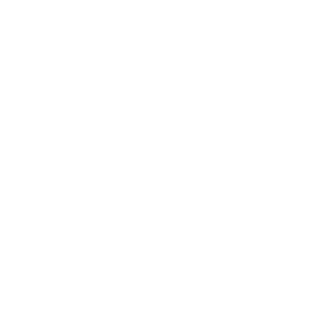 .deye inverter